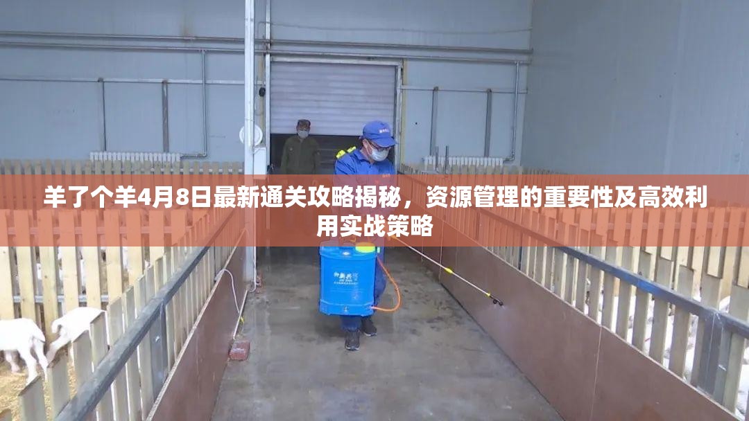 羊了个羊4月8日最新通关攻略揭秘，资源管理的重要性及高效利用实战策略