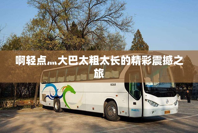 啊轻点灬大巴太粗太长的精彩震撼之旅