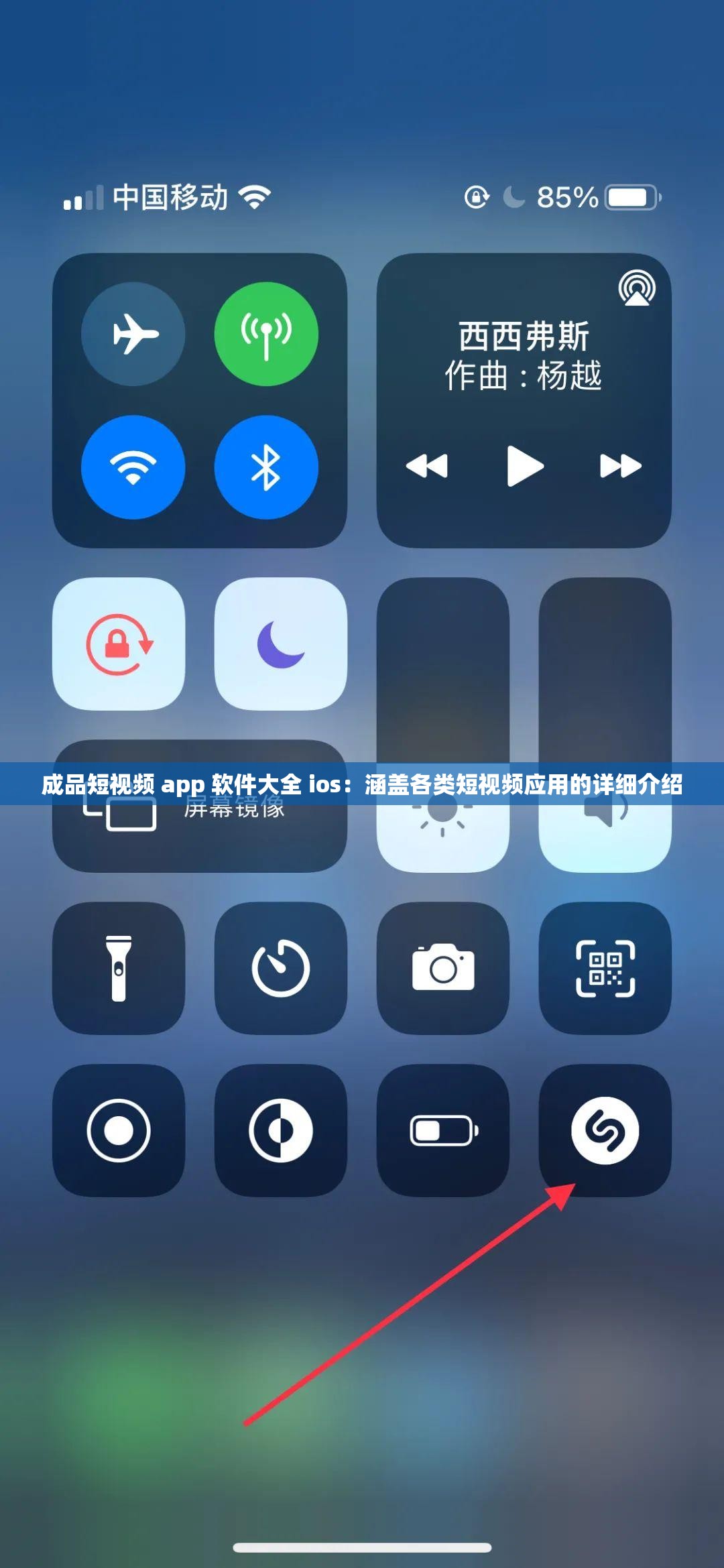 成品短视频 app 软件大全 ios：涵盖各类短视频应用的详细介绍