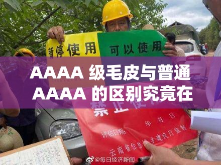 AAAA 级毛皮与普通 AAAA 的区别究竟在哪里