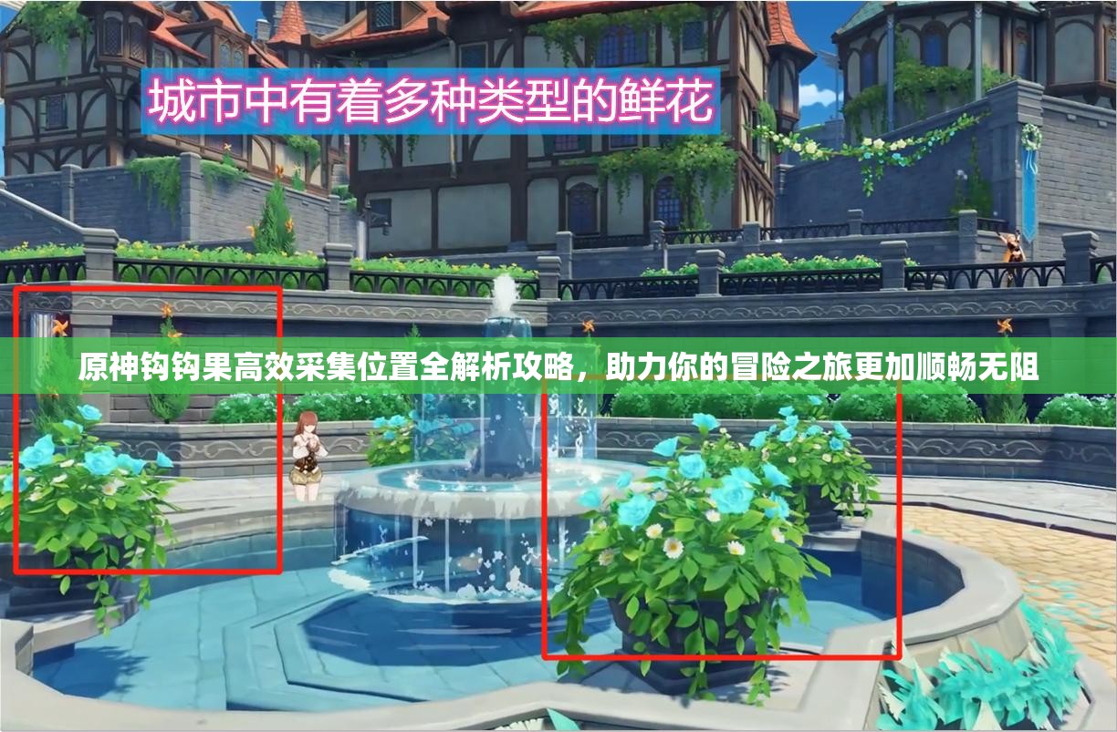 原神钩钩果高效采集位置全解析攻略，助力你的冒险之旅更加顺畅无阻