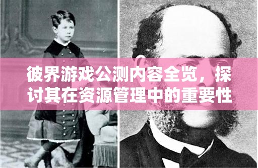 彼界游戏公测内容全览，探讨其在资源管理中的重要性及高效策略运用