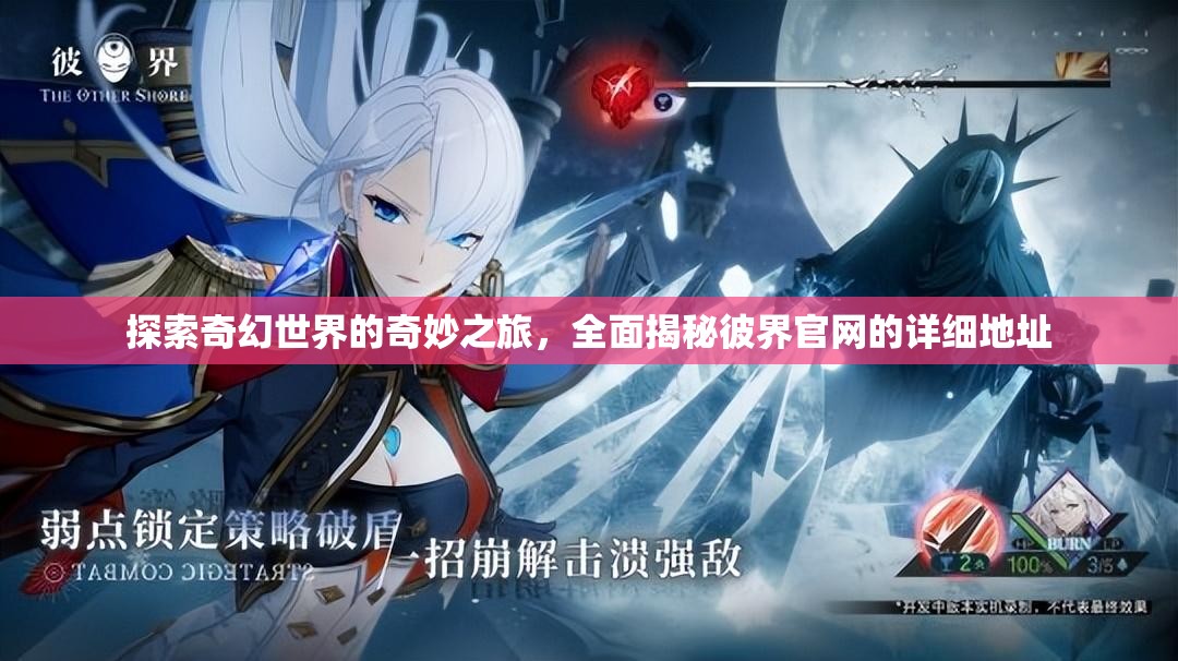 探索奇幻世界的奇妙之旅，全面揭秘彼界官网的详细地址
