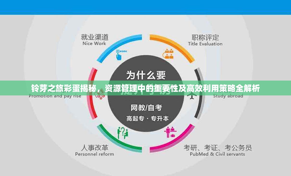 铃芽之旅彩蛋揭秘，资源管理中的重要性及高效利用策略全解析