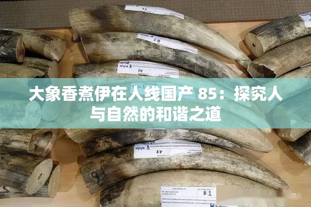 大象香煮伊在人线国产 85：探究人与自然的和谐之道