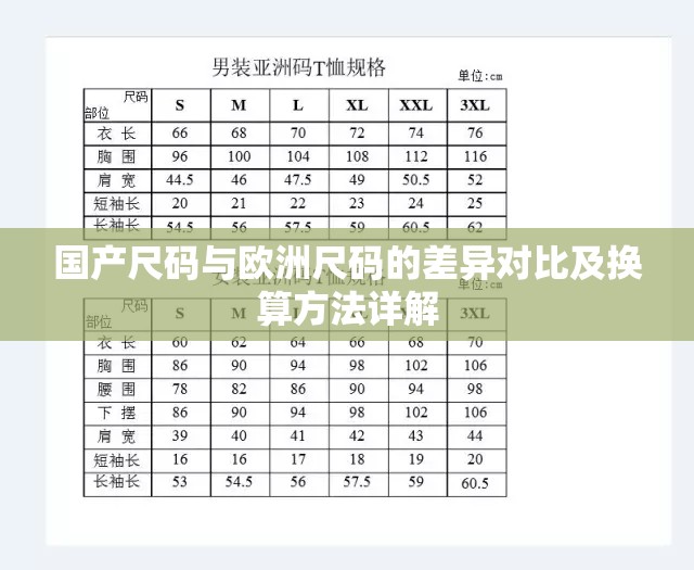 国产尺码与欧洲尺码的差异对比及换算方法详解