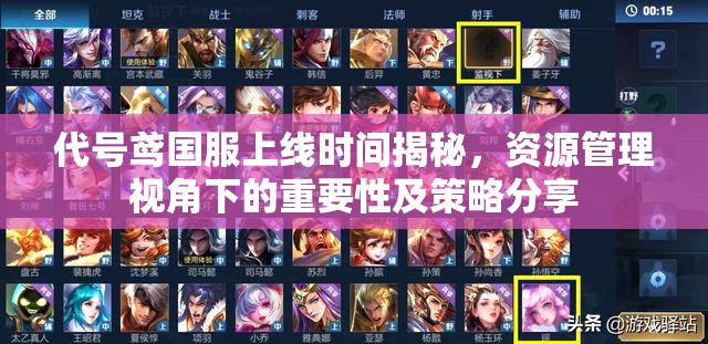代号鸢国服上线时间揭秘，资源管理视角下的重要性及策略分享
