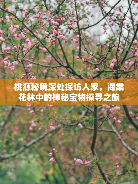 桃源秘境深处探访人家，海棠花林中的神秘宝物探寻之旅
