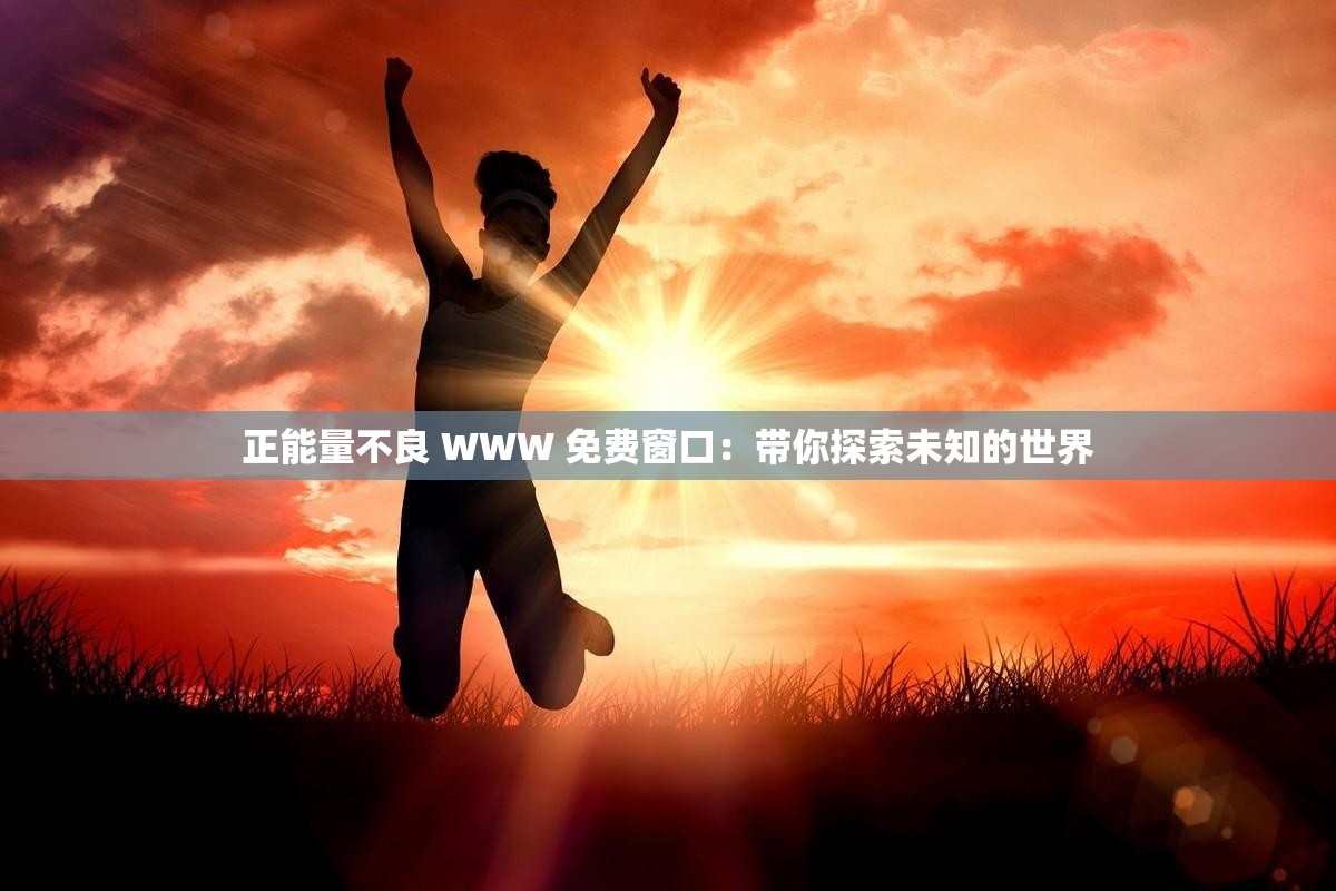 正能量不良 WWW 免费窗口：带你探索未知的世界