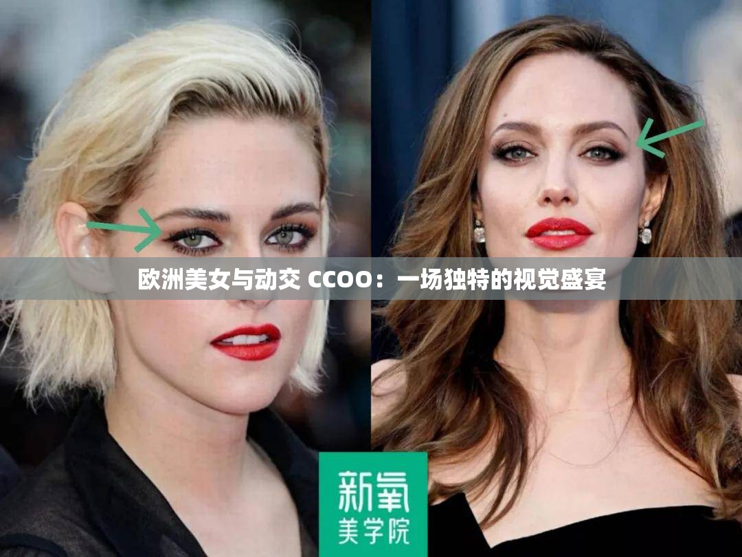欧洲美女与动交 CCOO：一场独特的视觉盛宴