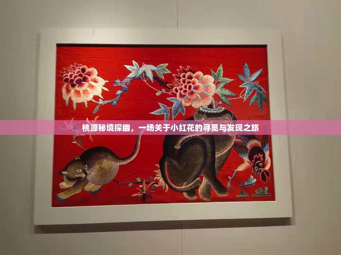 桃源秘境探幽，一场关于小红花的寻觅与发现之旅