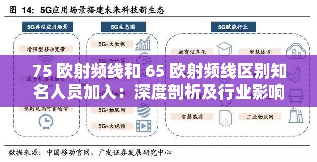 75 欧射频线和 65 欧射频线区别知名人员加入：深度剖析及行业影响