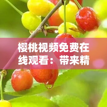 樱桃视频免费在线观看：带来精彩无限的视听体验