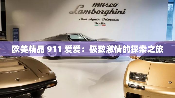 欧美精品 911 爱爱：极致激情的探索之旅