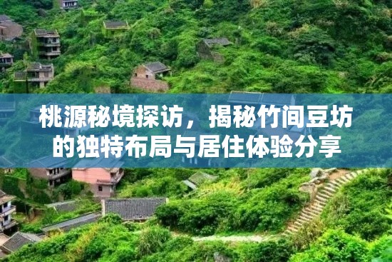 桃源秘境探访，揭秘竹间豆坊的独特布局与居住体验分享