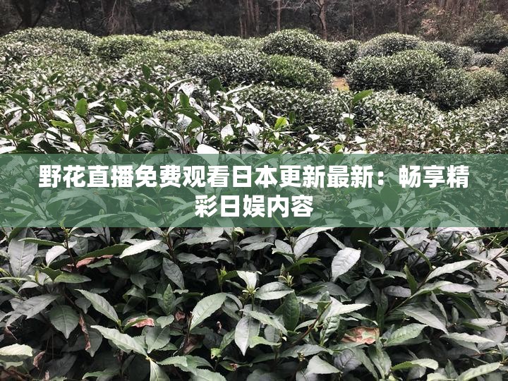 野花直播免费观看日本更新最新：畅享精彩日娱内容