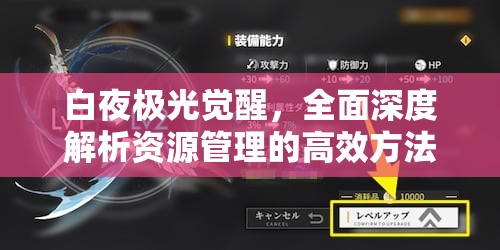 白夜极光觉醒，全面深度解析资源管理的高效方法与实用技巧