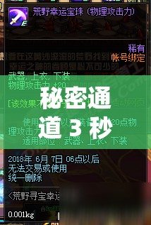 秘密通道 3 秒自动载入：带你进入奇妙未知世界