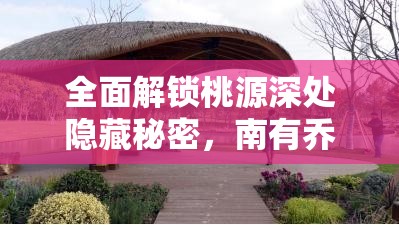 全面解锁桃源深处隐藏秘密，南有乔木支线任务详细攻略指南