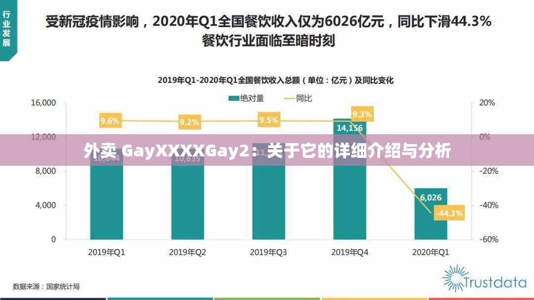 外卖 GayXXXXGay2：关于它的详细介绍与分析
