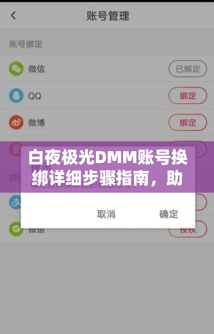 白夜极光DMM账号换绑详细步骤指南，助你轻松解决账号绑定与换绑困扰