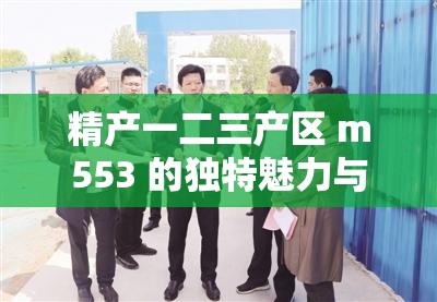 精产一二三产区 m553 的独特魅力与品质呈现