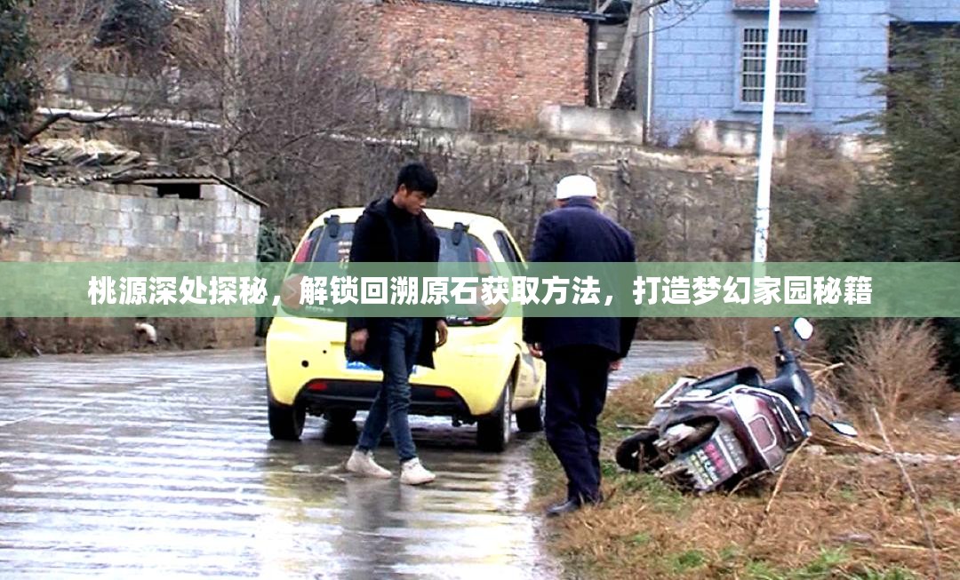 桃源深处探秘，解锁回溯原石获取方法，打造梦幻家园秘籍
