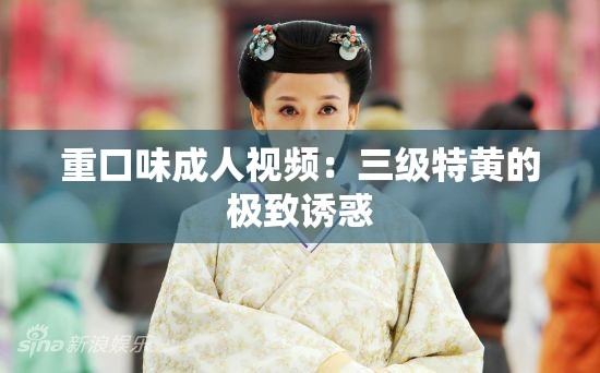 重口味成人视频：三级特黄的极致诱惑