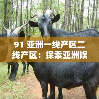 91 亚洲一线产区二线产区：探索亚洲娱乐产业的多元魅力