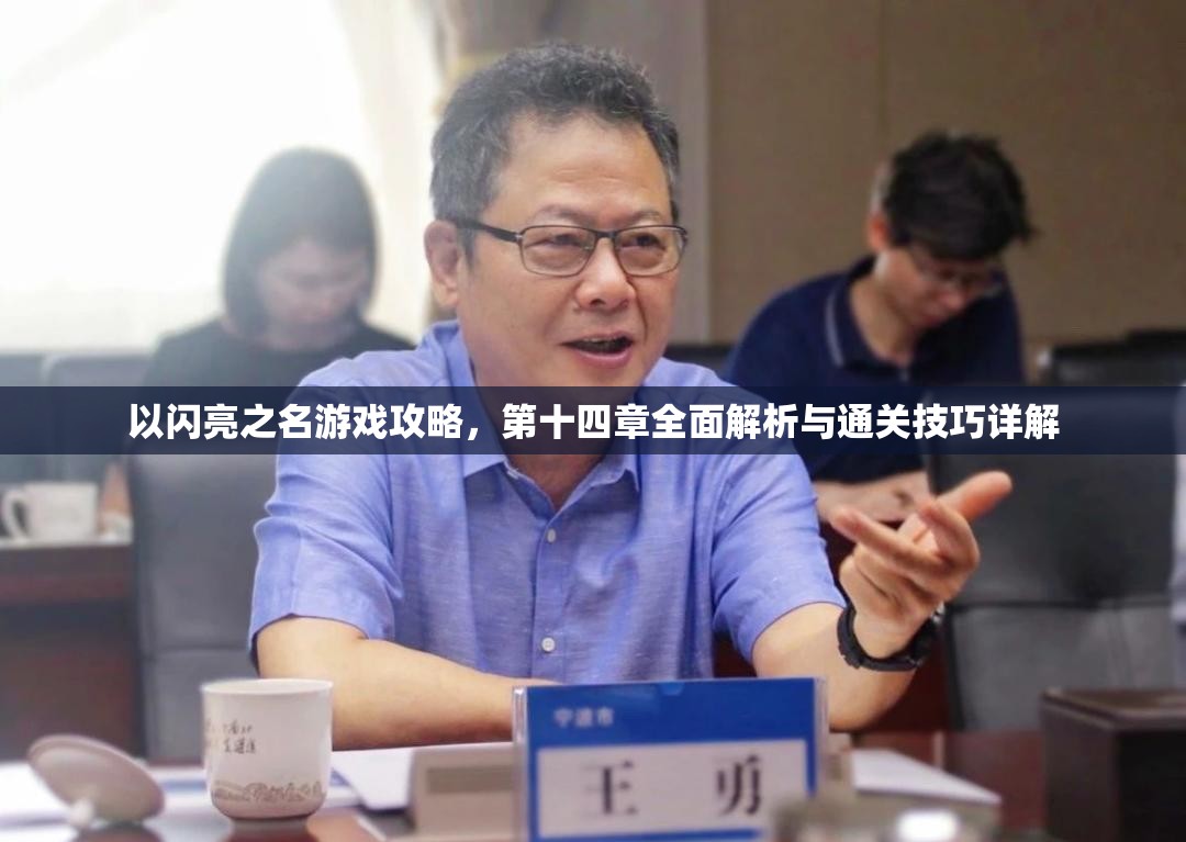 以闪亮之名游戏攻略，第十四章全面解析与通关技巧详解