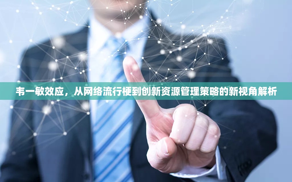 韦一敏效应，从网络流行梗到创新资源管理策略的新视角解析