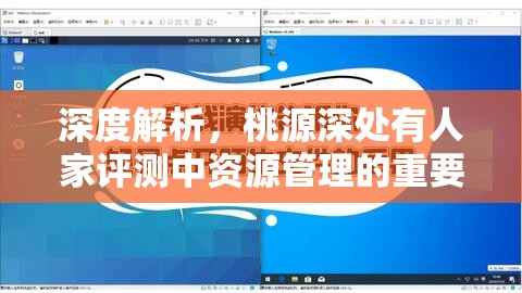 深度解析，桃源深处有人家评测中资源管理的重要性及实战策略探讨