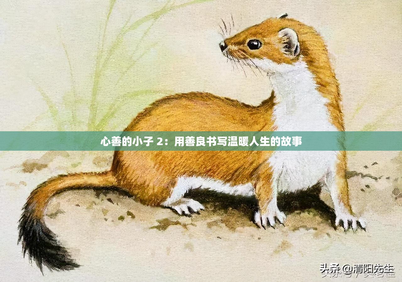心善的小子 2：用善良书写温暖人生的故事