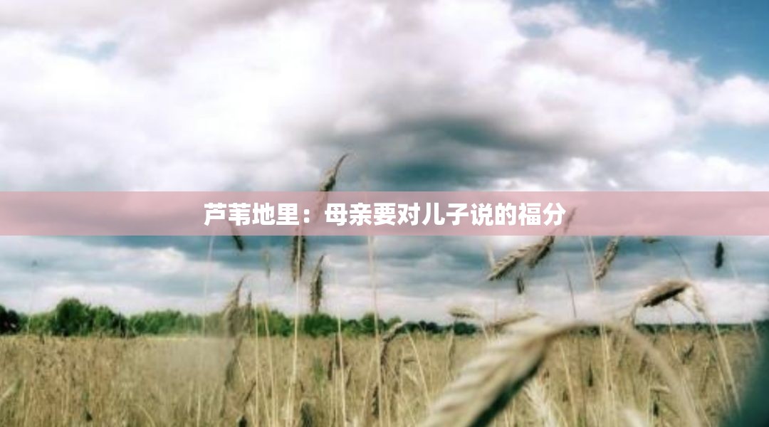 芦苇地里：母亲要对儿子说的福分
