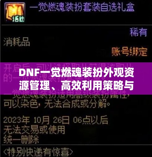 DNF一觉燃魂装扮外观资源管理、高效利用策略与价值最大化指南