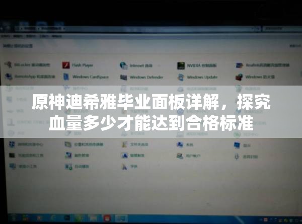 原神迪希雅毕业面板详解，探究血量多少才能达到合格标准