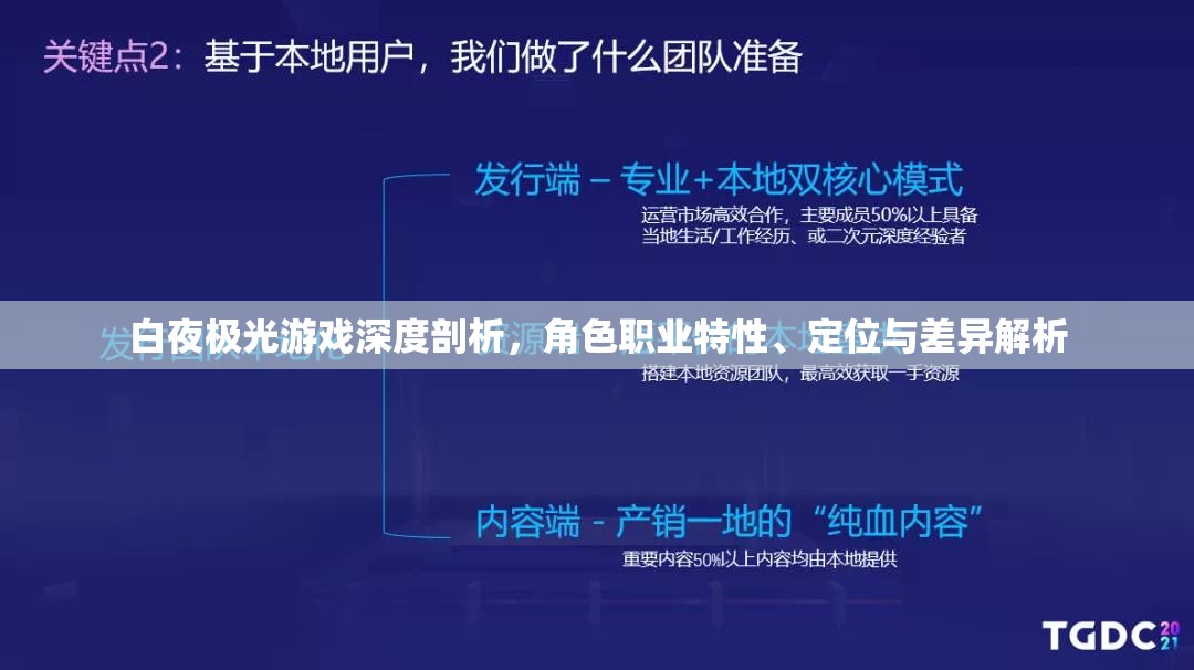 白夜极光游戏深度剖析，角色职业特性、定位与差异解析