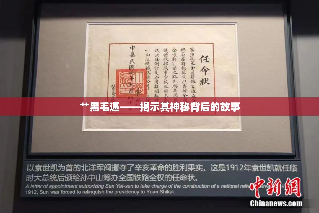 艹黑毛逼——揭示其神秘背后的故事