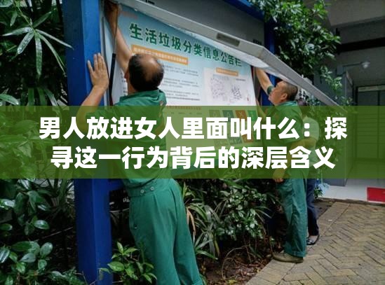 男人放进女人里面叫什么：探寻这一行为背后的深层含义