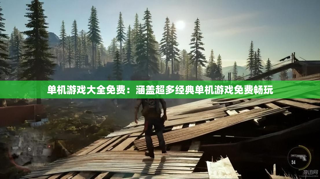 单机游戏大全免费：涵盖超多经典单机游戏免费畅玩