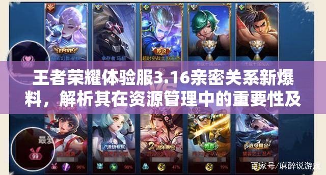 王者荣耀体验服3.16亲密关系新爆料，解析其在资源管理中的重要性及高效运用策略