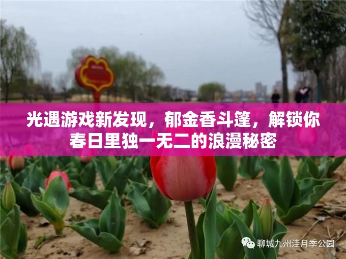 光遇游戏新发现，郁金香斗篷，解锁你春日里独一无二的浪漫秘密