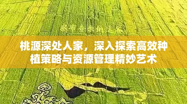 桃源深处人家，深入探索高效种植策略与资源管理精妙艺术