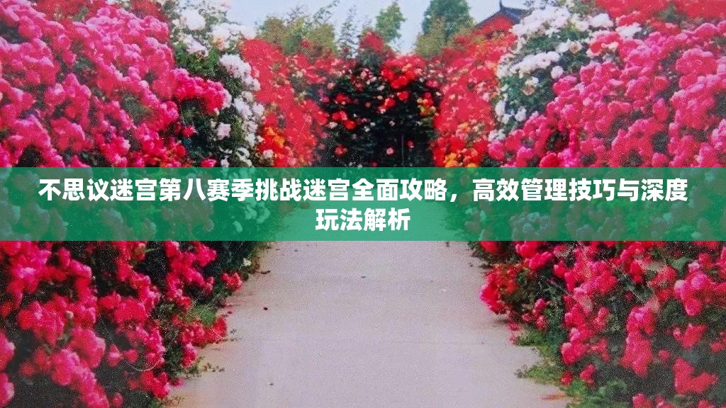 不思议迷宫第八赛季挑战迷宫全面攻略，高效管理技巧与深度玩法解析