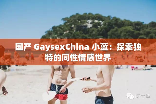 国产 GaysexChina 小蓝：探索独特的同性情感世界