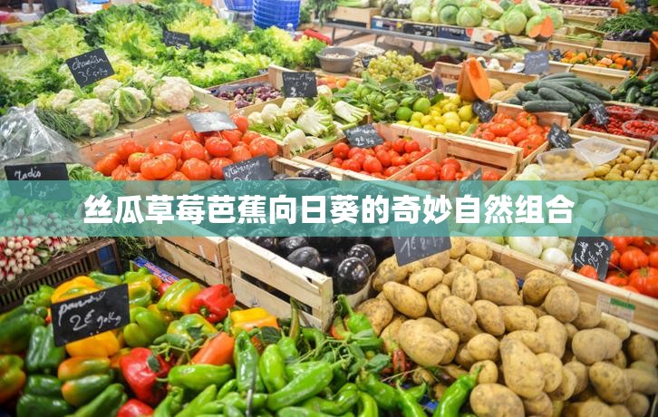 丝瓜草莓芭蕉向日葵的奇妙自然组合