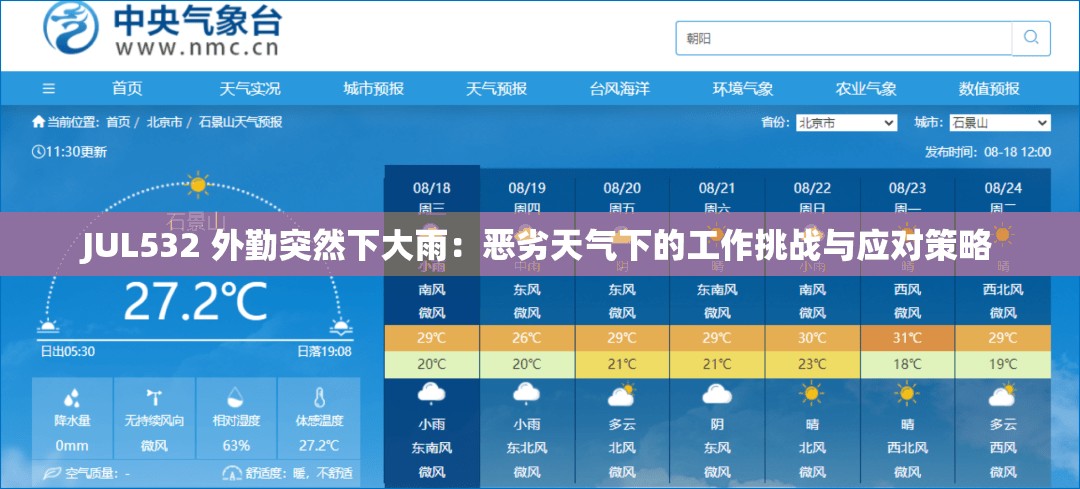 JUL532 外勤突然下大雨：恶劣天气下的工作挑战与应对策略
