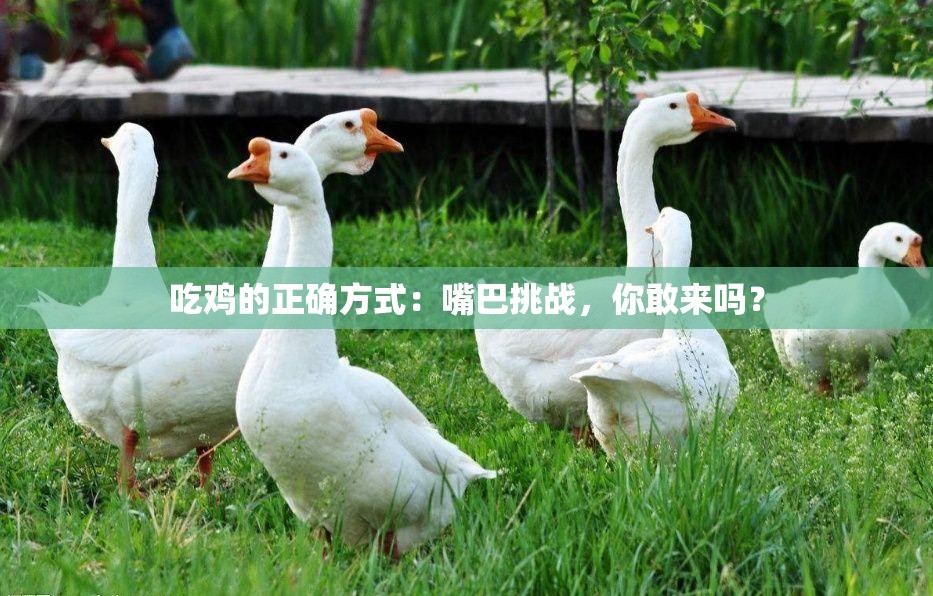 吃鸡的正确方式：嘴巴挑战，你敢来吗？