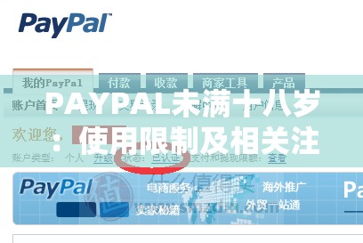 PAYPAL未满十八岁：使用限制及相关注意事项