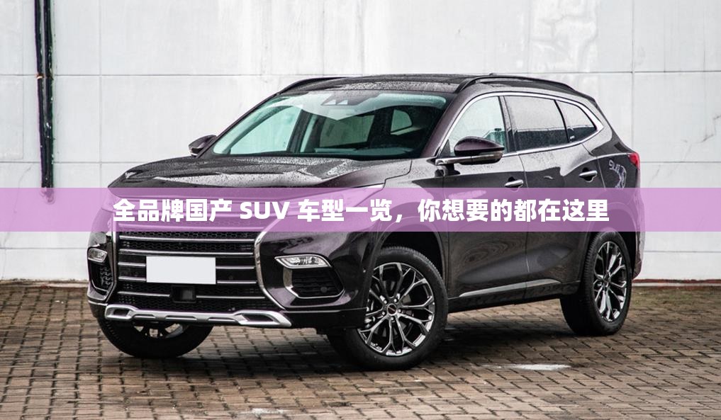 全品牌国产 SUV 车型一览，你想要的都在这里